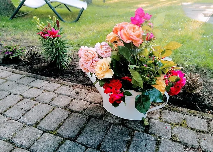 Victoria Mosonmagyaróvár