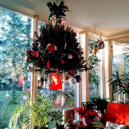 Gazde/Camere de închiriat Victoria Mosonmagyaróvár